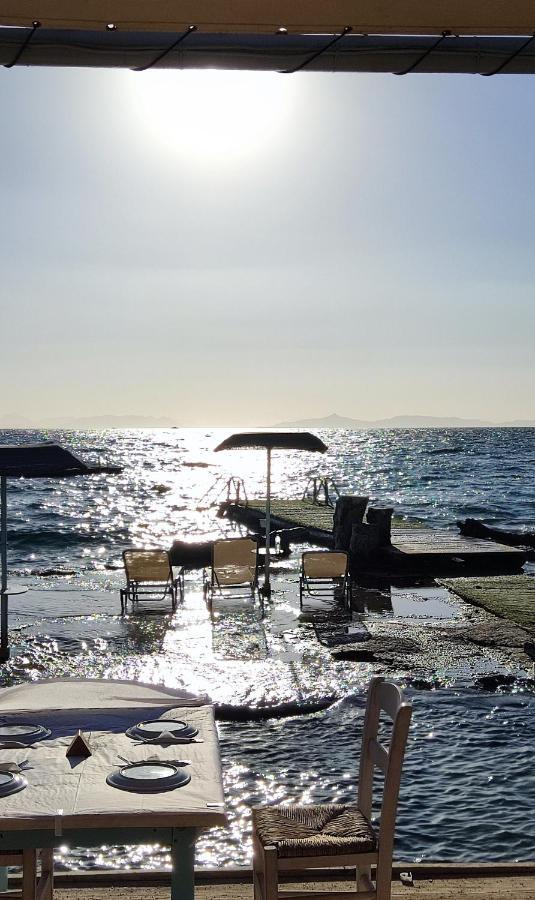 Melrose Maisonette By The Sea Anavyssos Exteriör bild